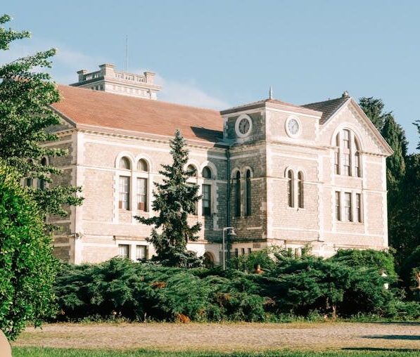 devlet üniversitesi
